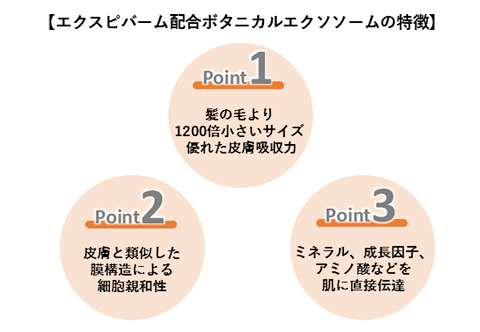 【エクスピバーム配合ボタニカルエクソソームの特徴】「Point1 髪の毛より1200倍小さいサイズ  優れた皮膚吸収力」「Point2 皮膚と類似した膜構造による細胞親和性」「Point3 ミネラル、成長因子、アミノ酸などを肌に直接伝達」