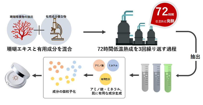 珊瑚エキスと有用成分を混合→72時間低温熟成を３回繰り返す過程→抽出→アミノ酸・ミネラル・肌に有用な成分生成→成分の微粒子化